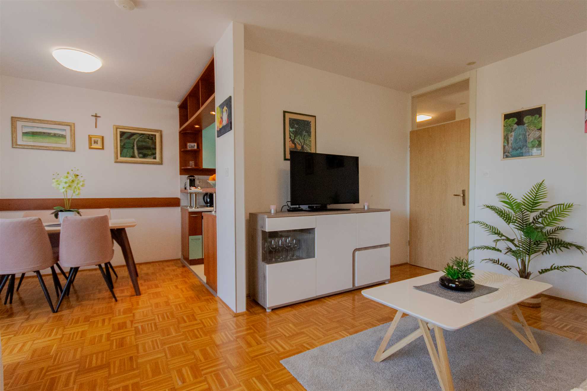 Large stylish apartment Ankica,free public parking