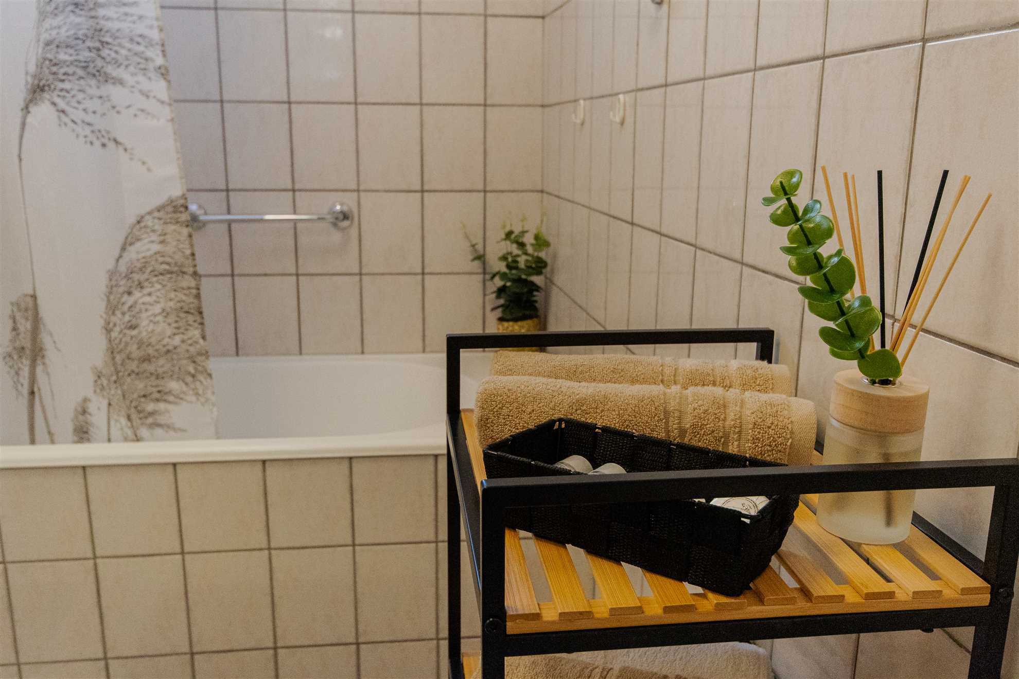 Large stylish apartment Ankica,free public parking