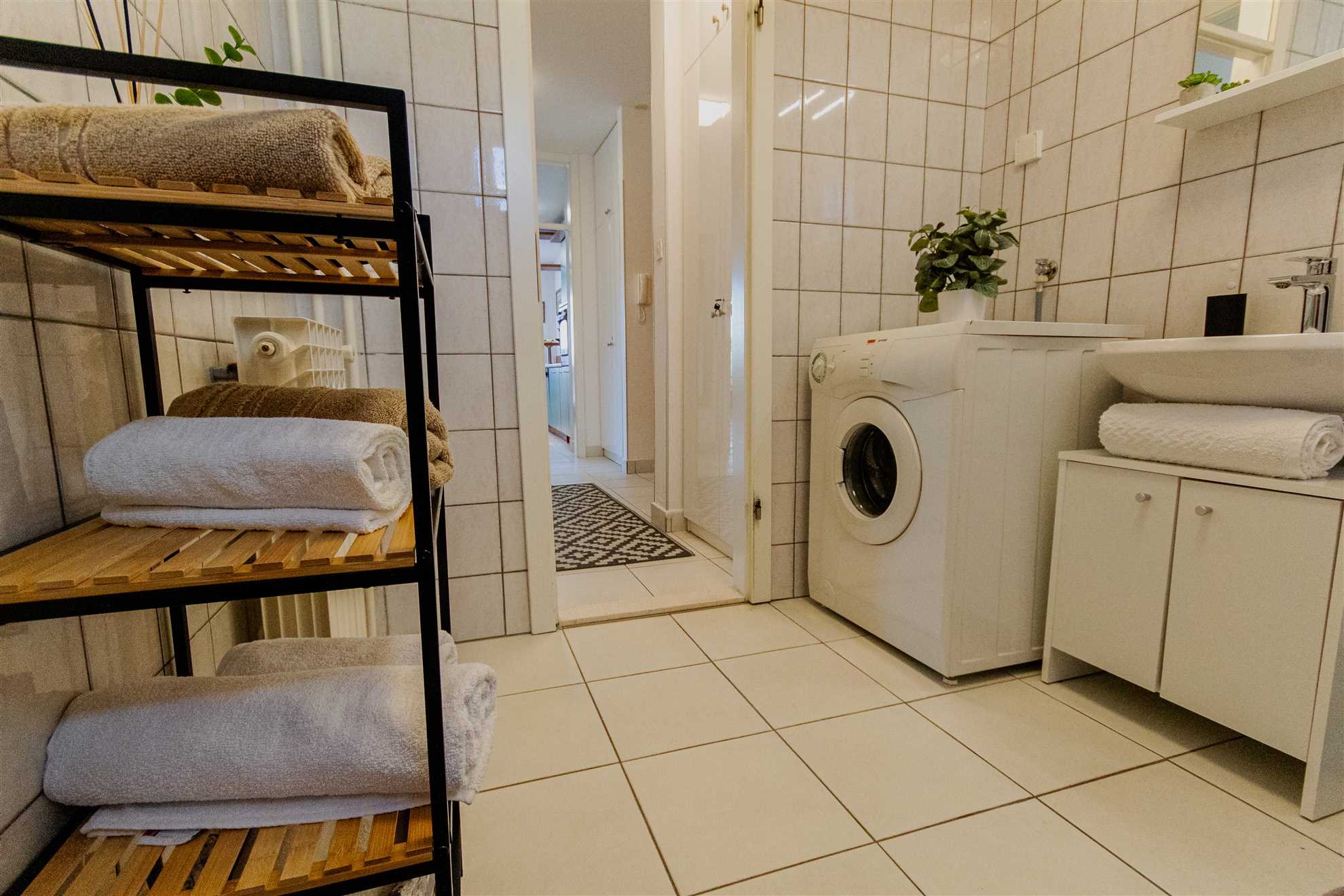 Large stylish apartment Ankica,free public parking