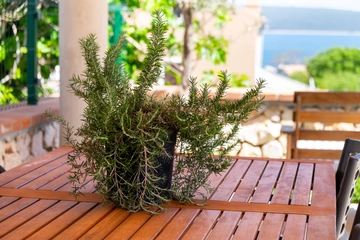 Two-Bedroom Apartment in Nerezine for Up to 5