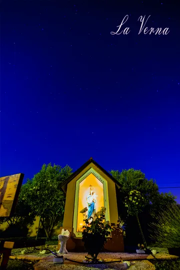 Galovac Villa with Pool for Up to 10 Guests