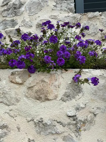 Infinity Pool 3-Bedroom Villa in Dubrovnik