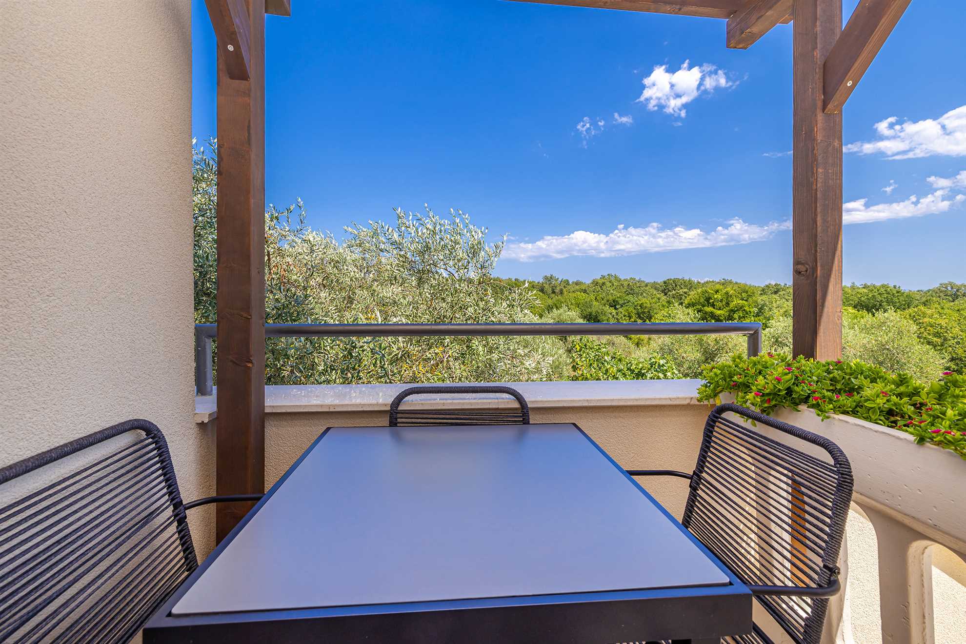 Villa Haya - apartment MANDARINA with heated pool