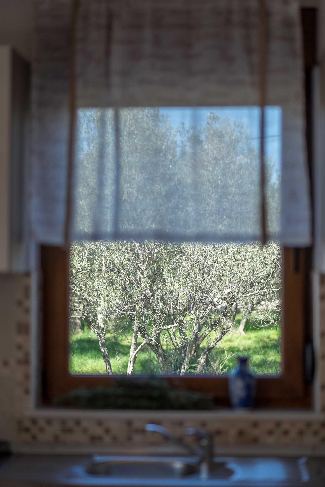 Ferienhaus Dijana mit Pool