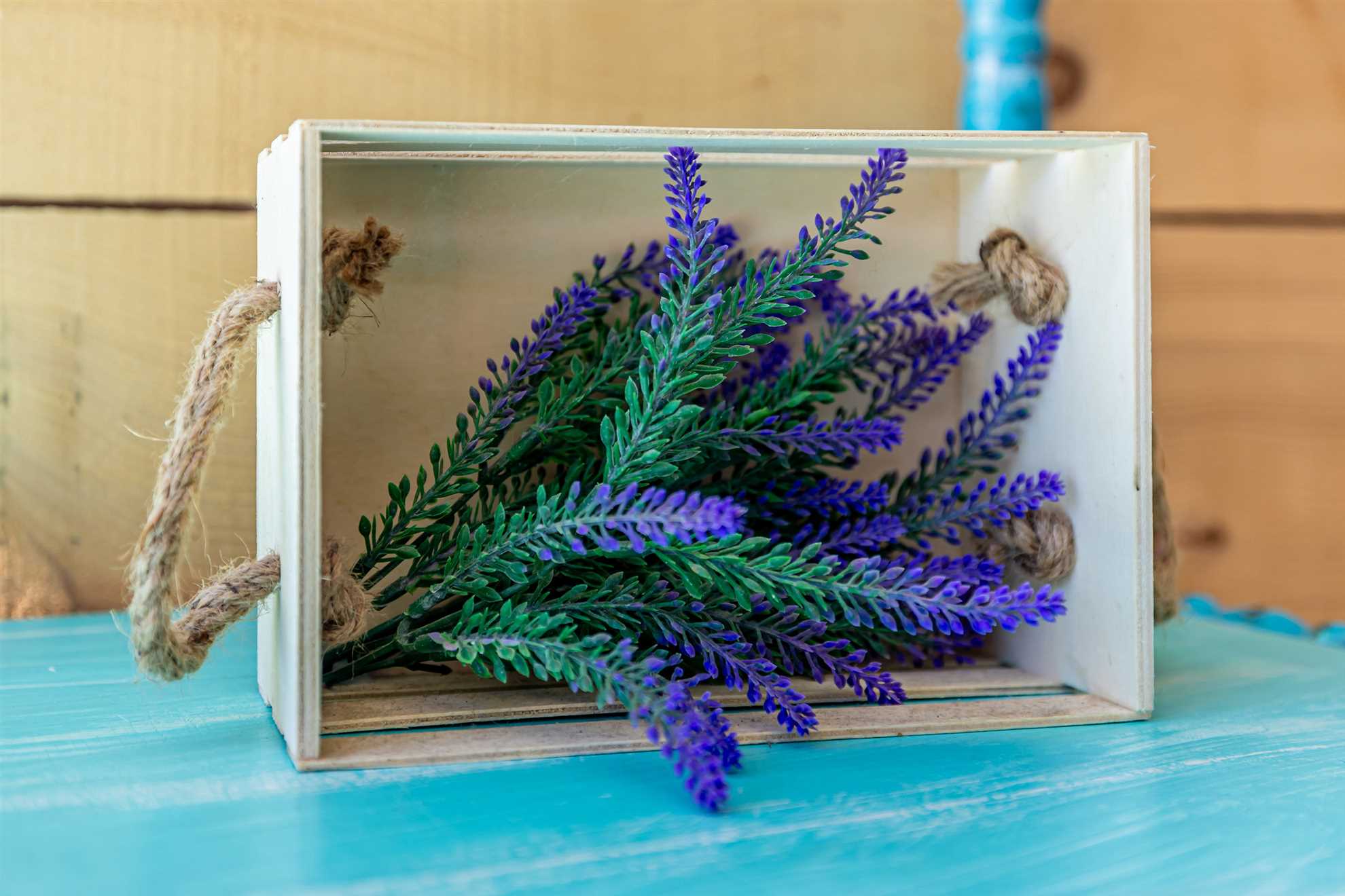 Cozy holiday home SEAFRONT II