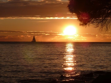 Vižinada Villa with Private Garden & Pool