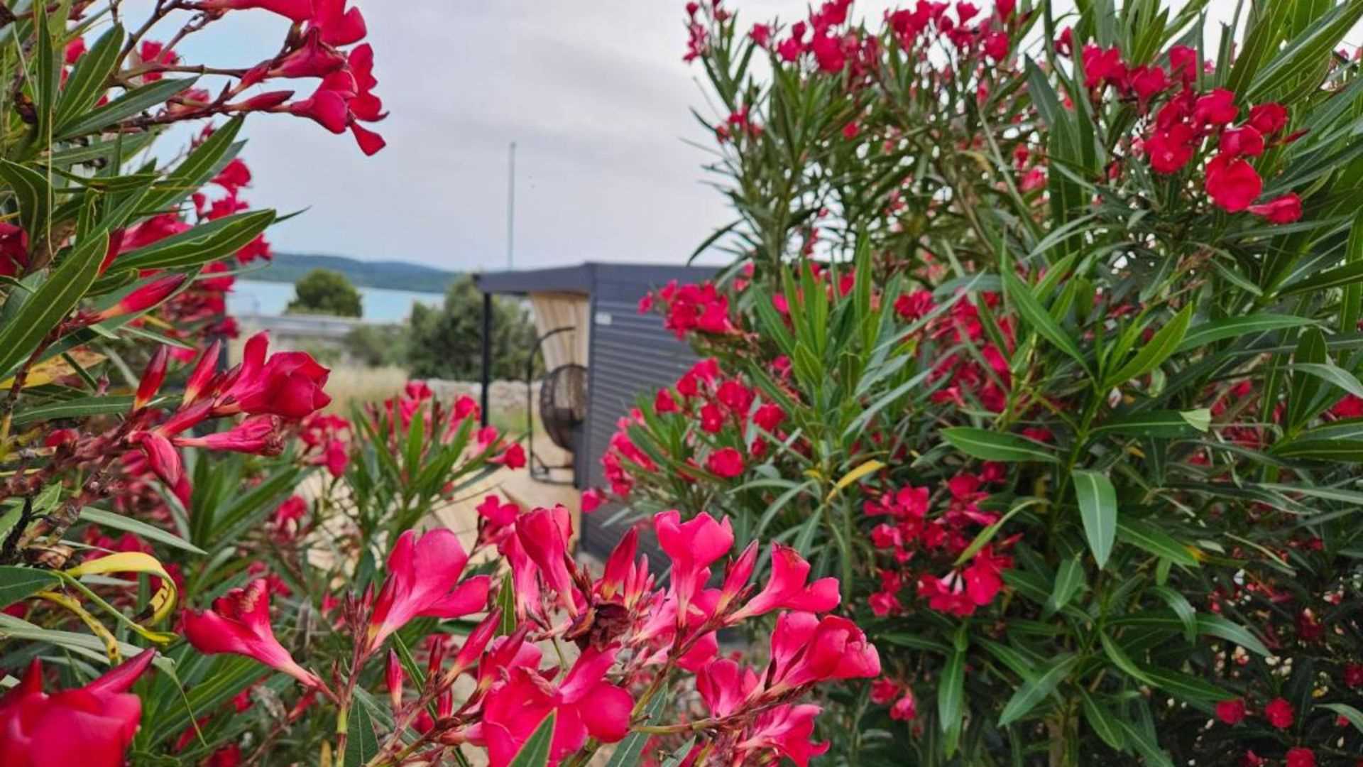 Image of Mobile Home Seastory near beach