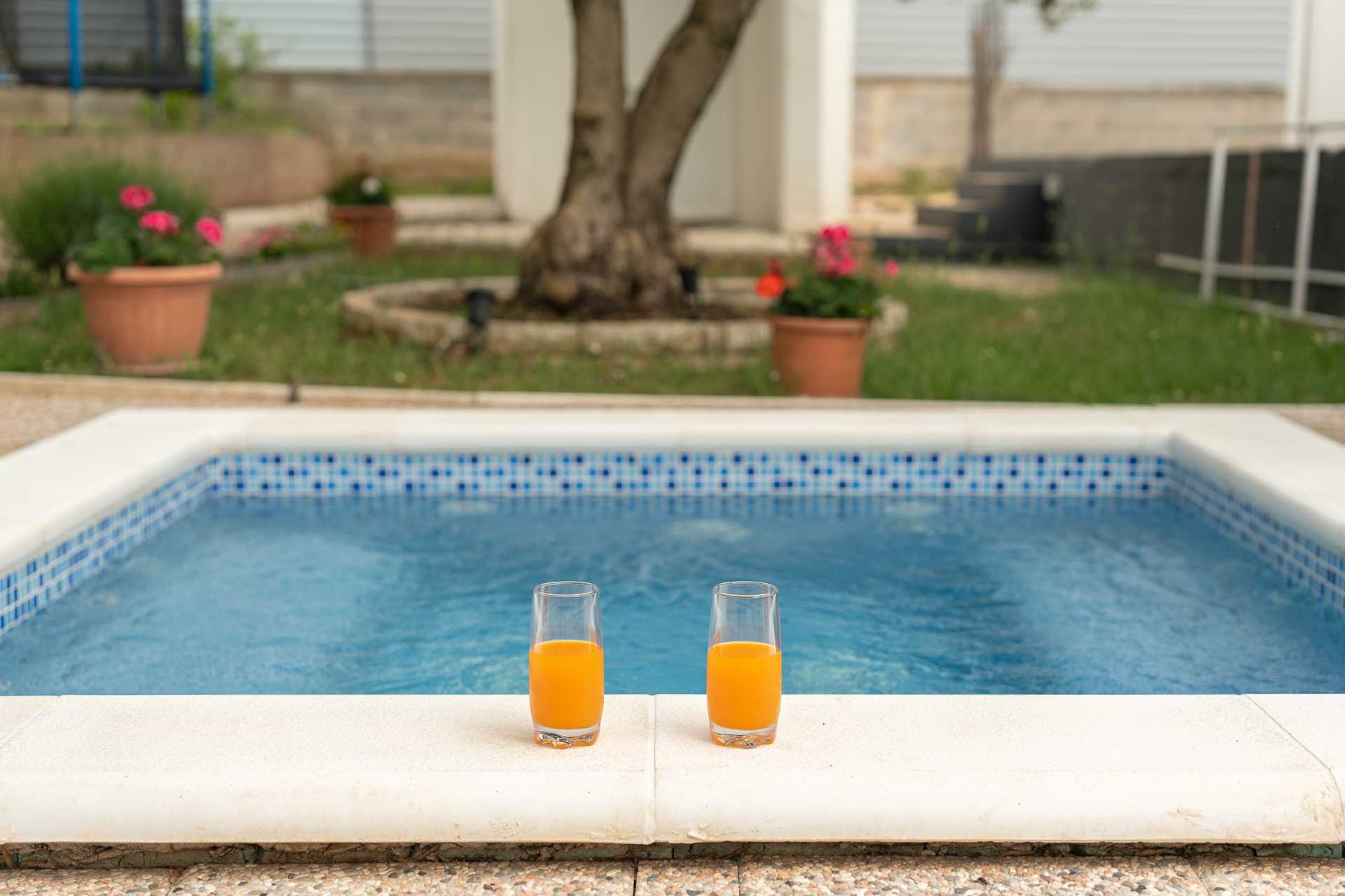 Holiday Home DaLeo with Pool and Jacuzzi