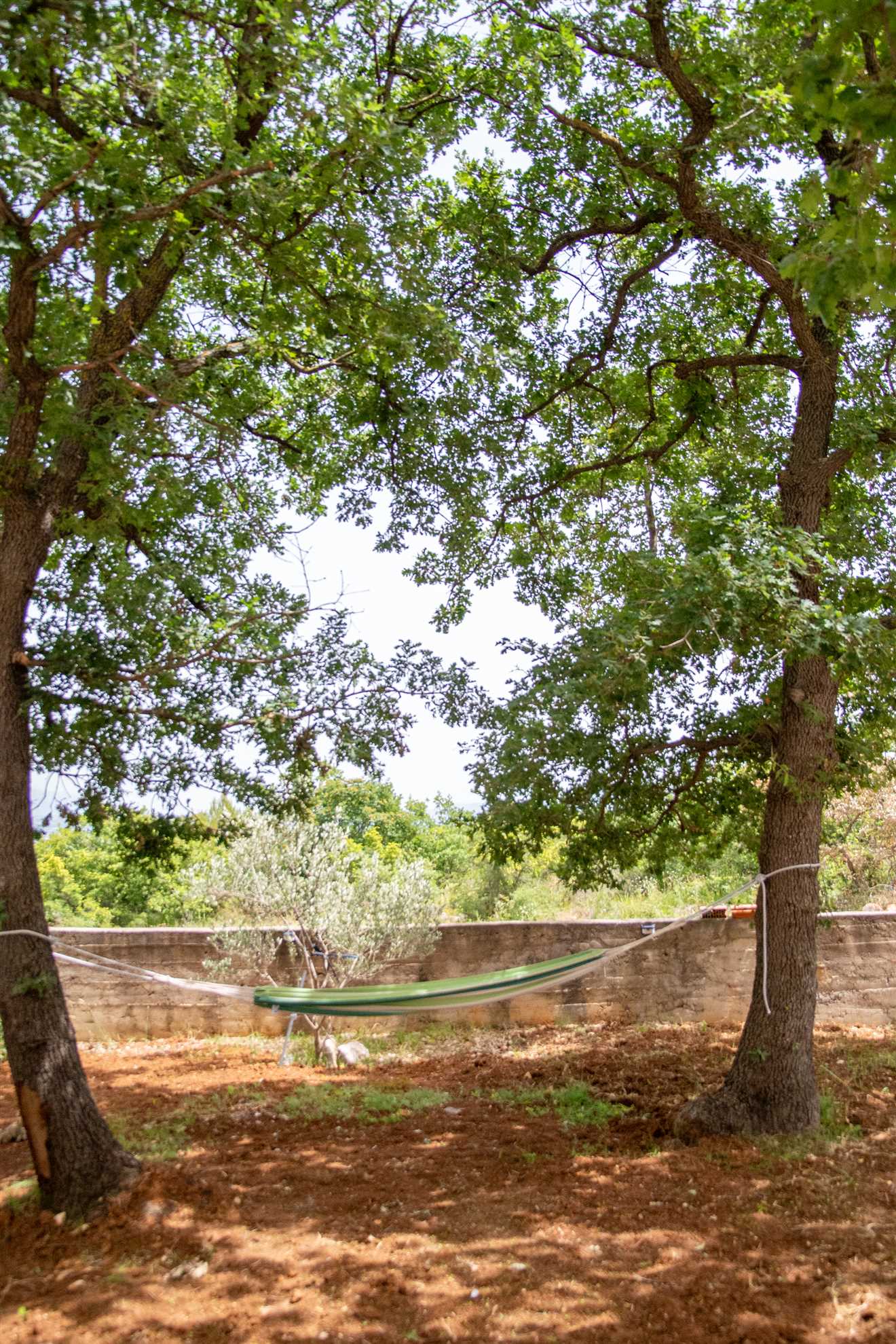 New Serenity Zen Garden Holiday Villa