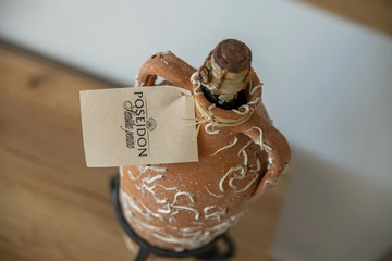 Villa in Starigrad Paklenica for Up to 10 Guests