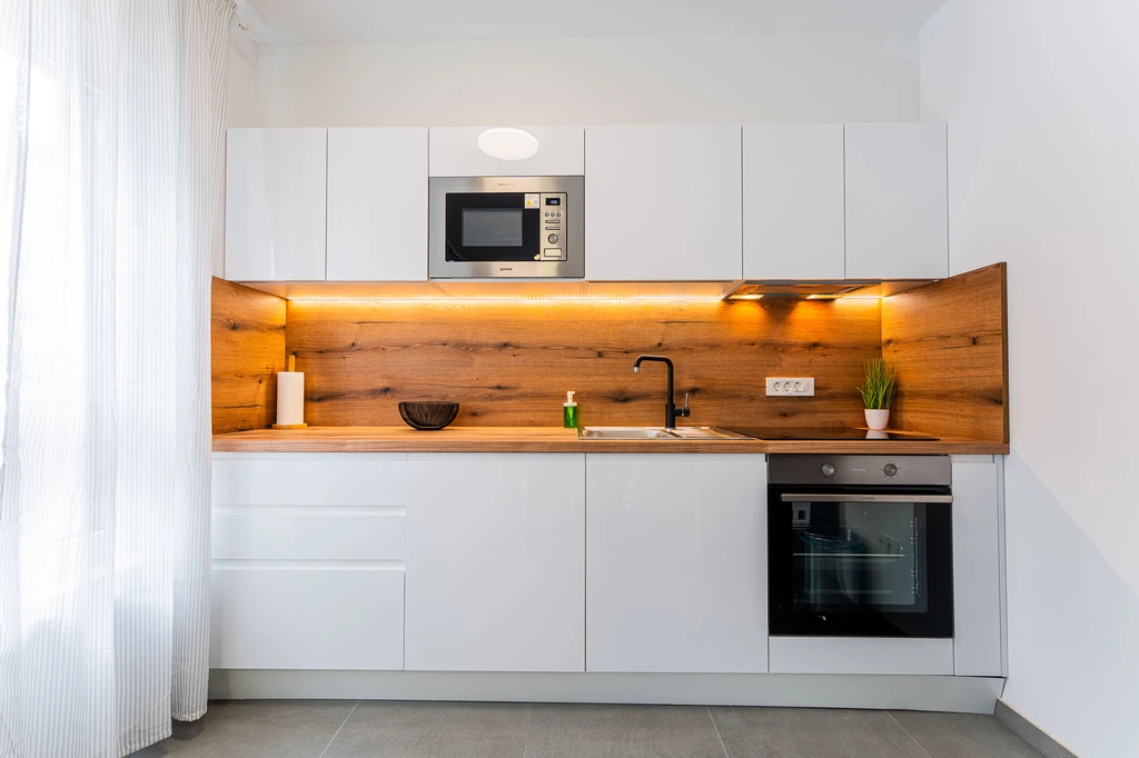 Newly renovated 2-bedroom apartment in Velika Mlaka