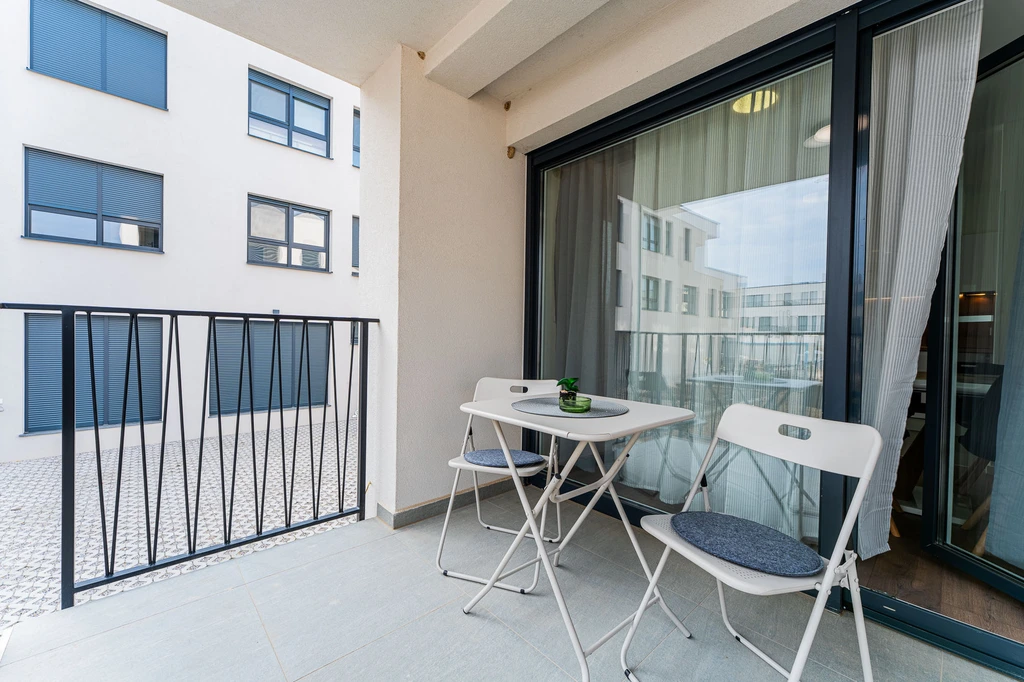 Newly renovated 2-bedroom apartment in Velika Mlaka