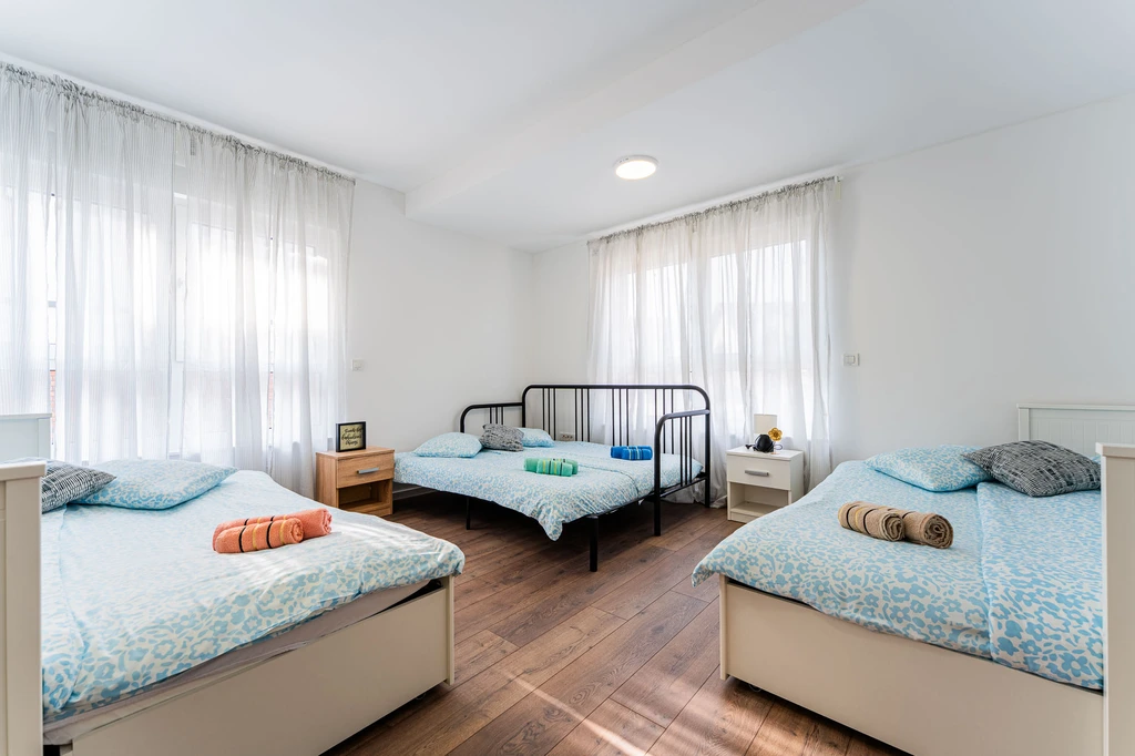 Newly renovated 2-bedroom apartment in Velika Mlaka
