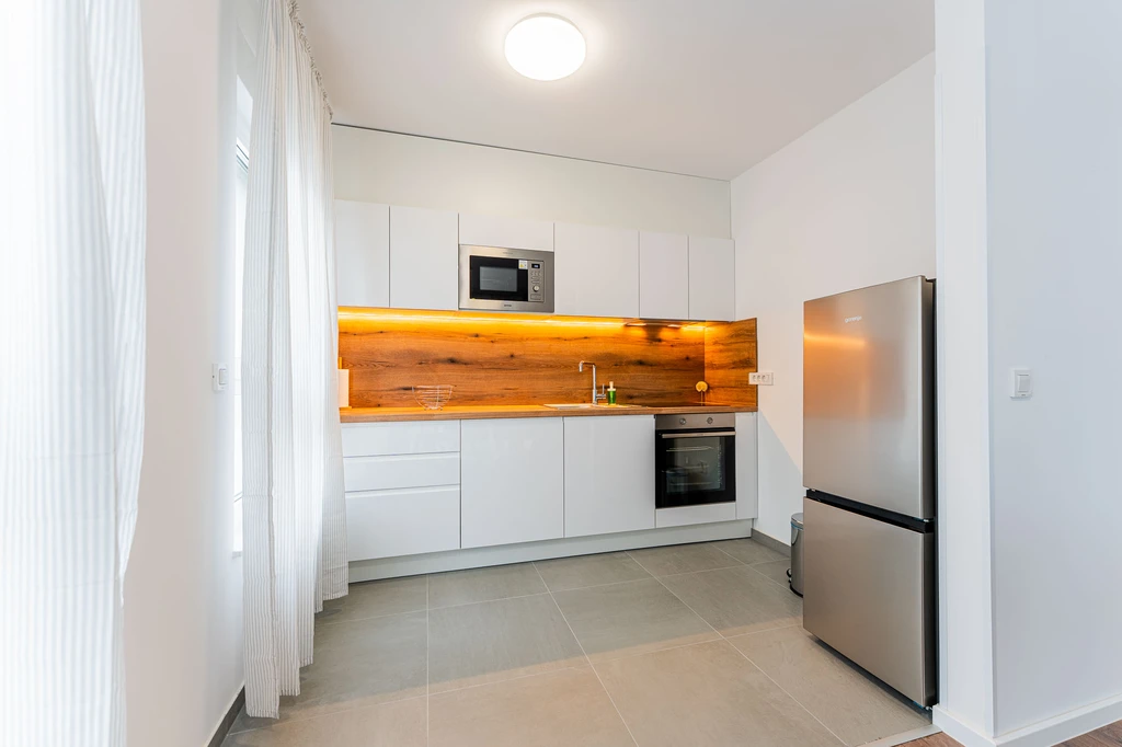 Newly Renovated 2-Bedroom Apartment in Velika Mlaka