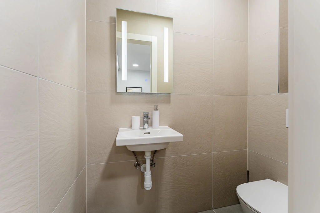 Newly Renovated 2-Bedroom Apartment in Velika Mlaka