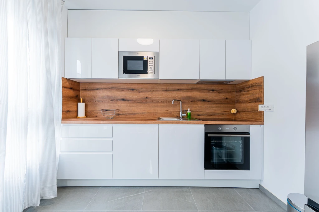 Renovated 2-Bedroom Apartment in Velika Mlaka