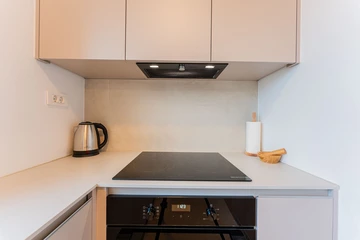 Newly Renovated 1-Bedroom Apartment for 3 in Zagreb