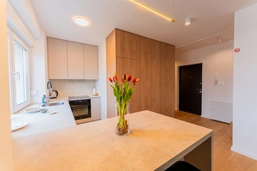 Newly Renovated 1-Bedroom Apartment for 3 in Zagreb