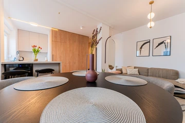 Newly Renovated 1-Bedroom Apartment for 3 in Zagreb