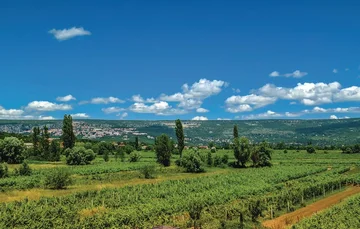 Zmijavci Villa for Up to 10 Guests with Pool