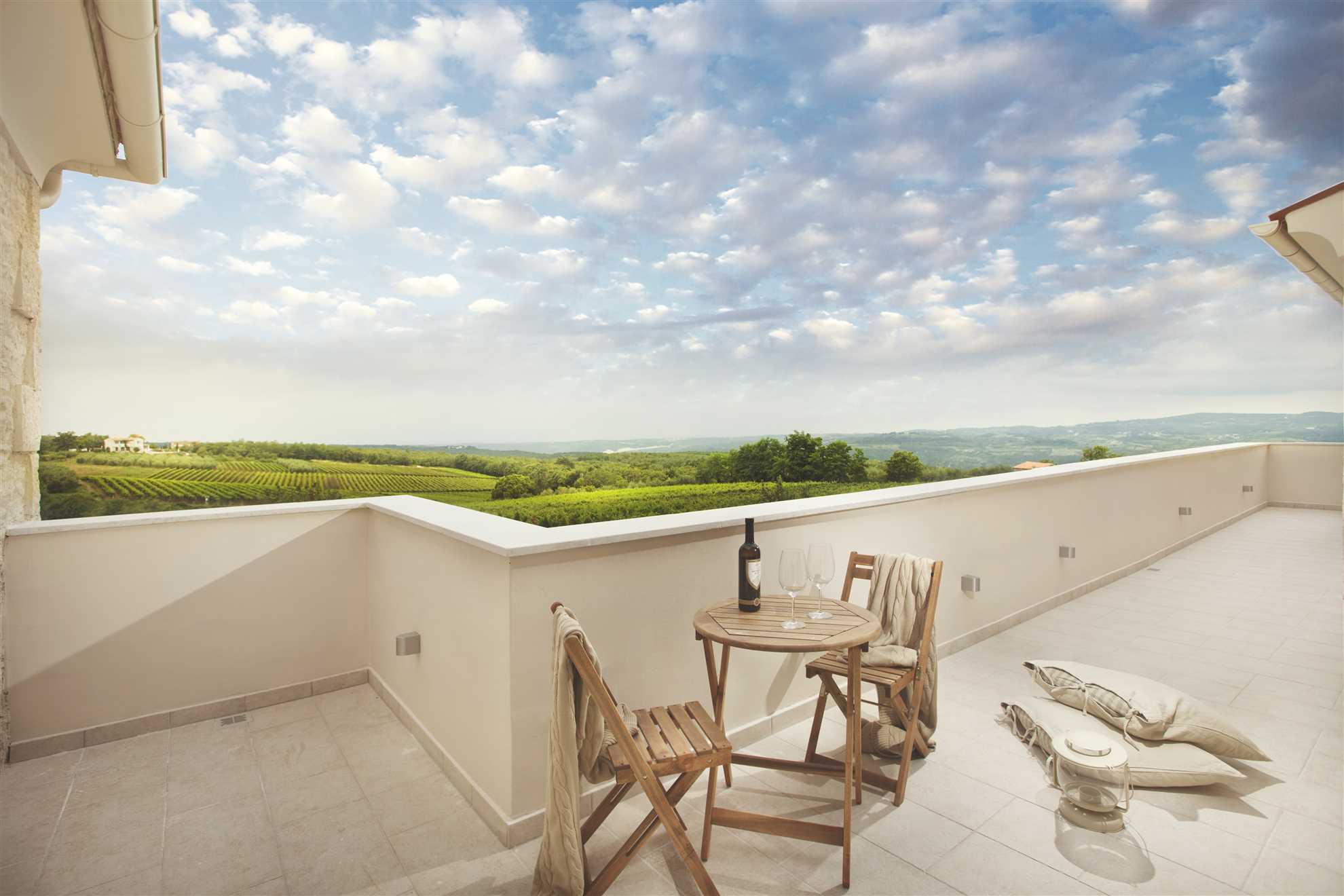 Villa Sara Bajkini with vineyard view