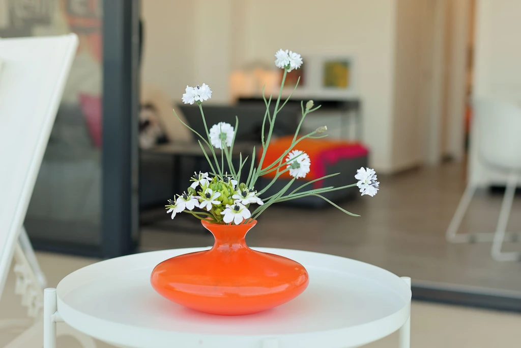 Apartman s pogledom na more u Rovanjskoj