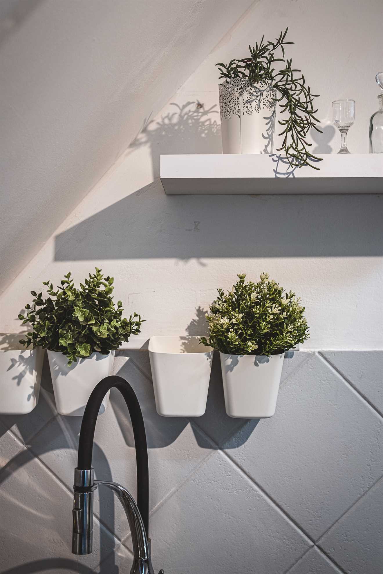 Tkalcic's oasis no.1
