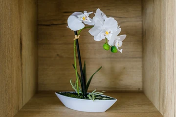 Modern Villa with Pool in Vinjerac for 6