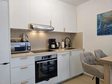 Rovinj Pedestrian Center Studio for 2