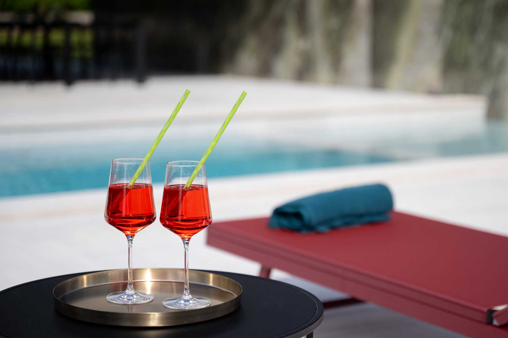 Luxury Villa Sylva with Pool
