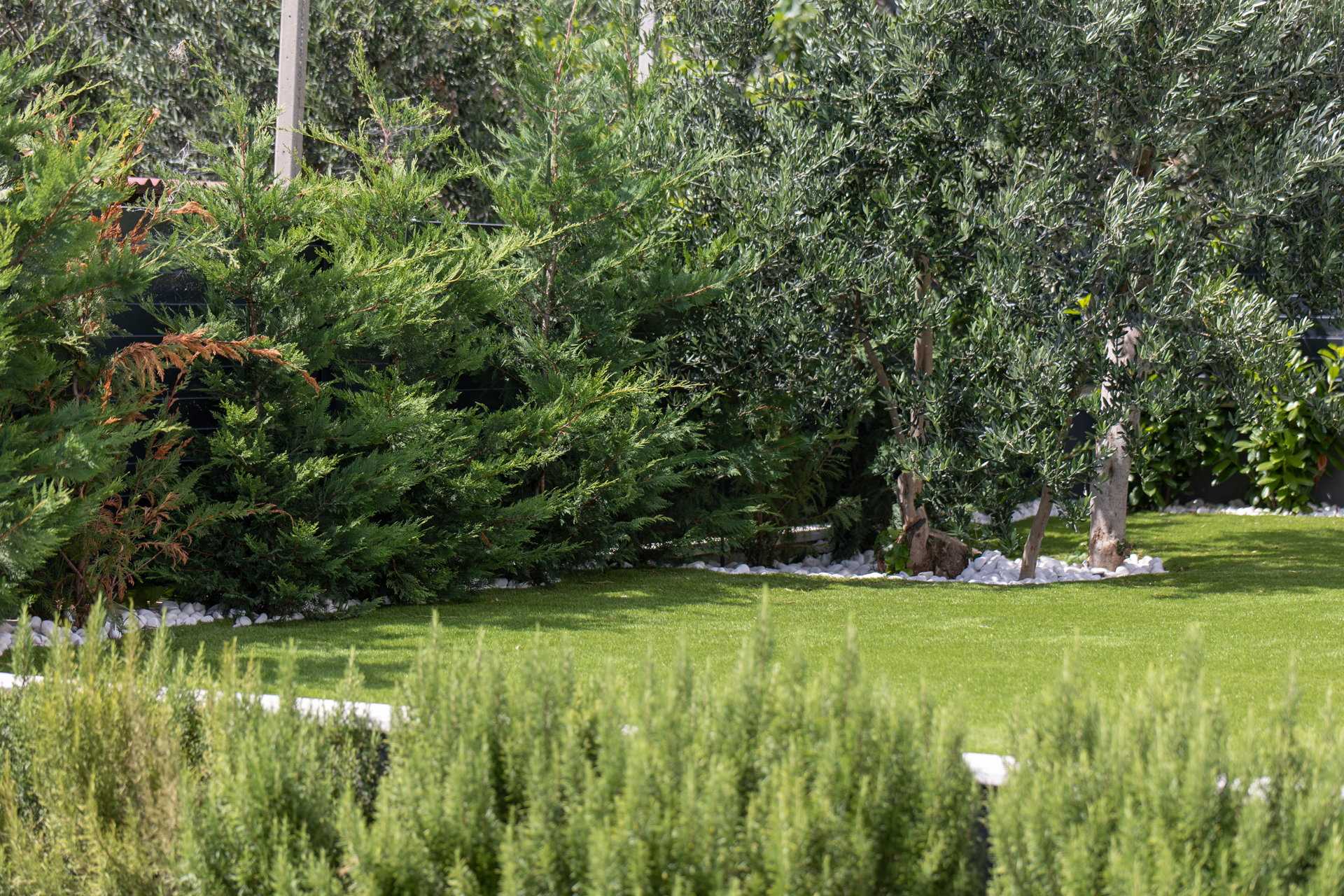 Villa Green Lush with Pool