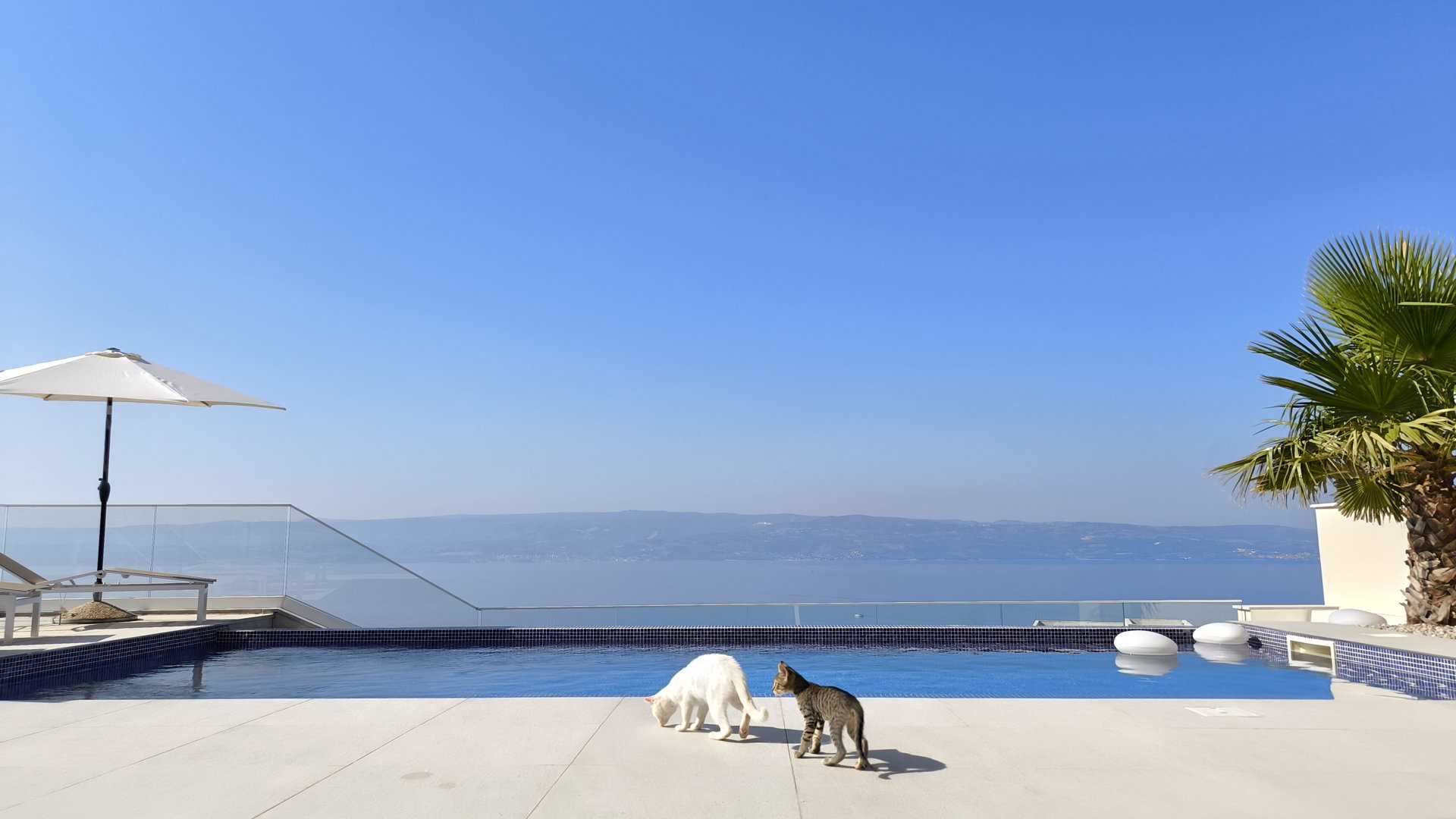 Villa Chameleon with Pool