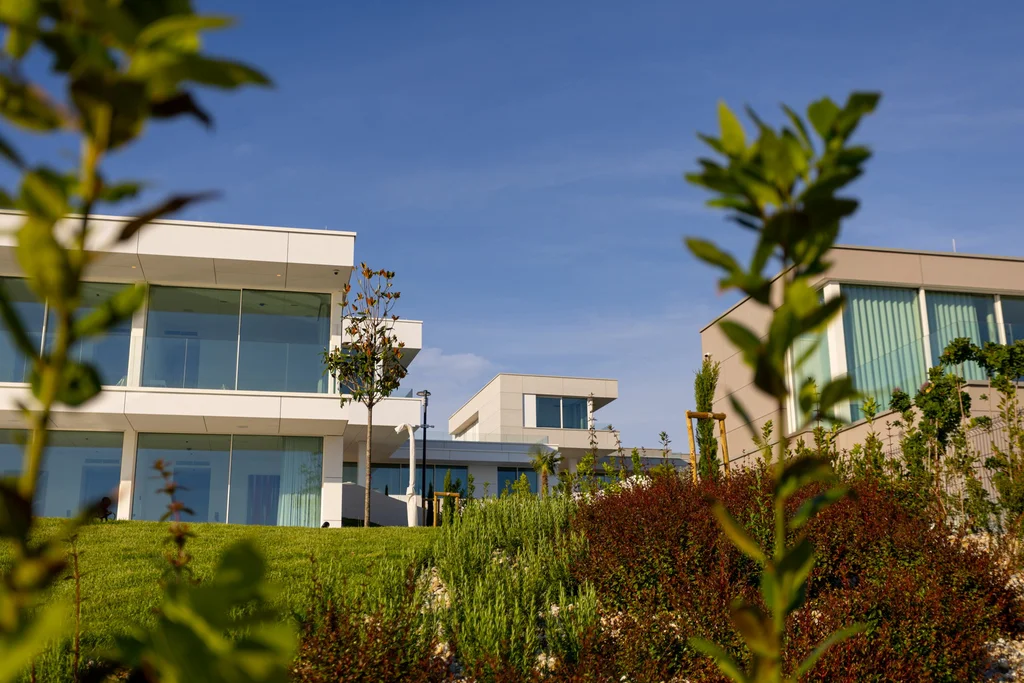 Contemporary Villa Retreat with Pool, Ugljan