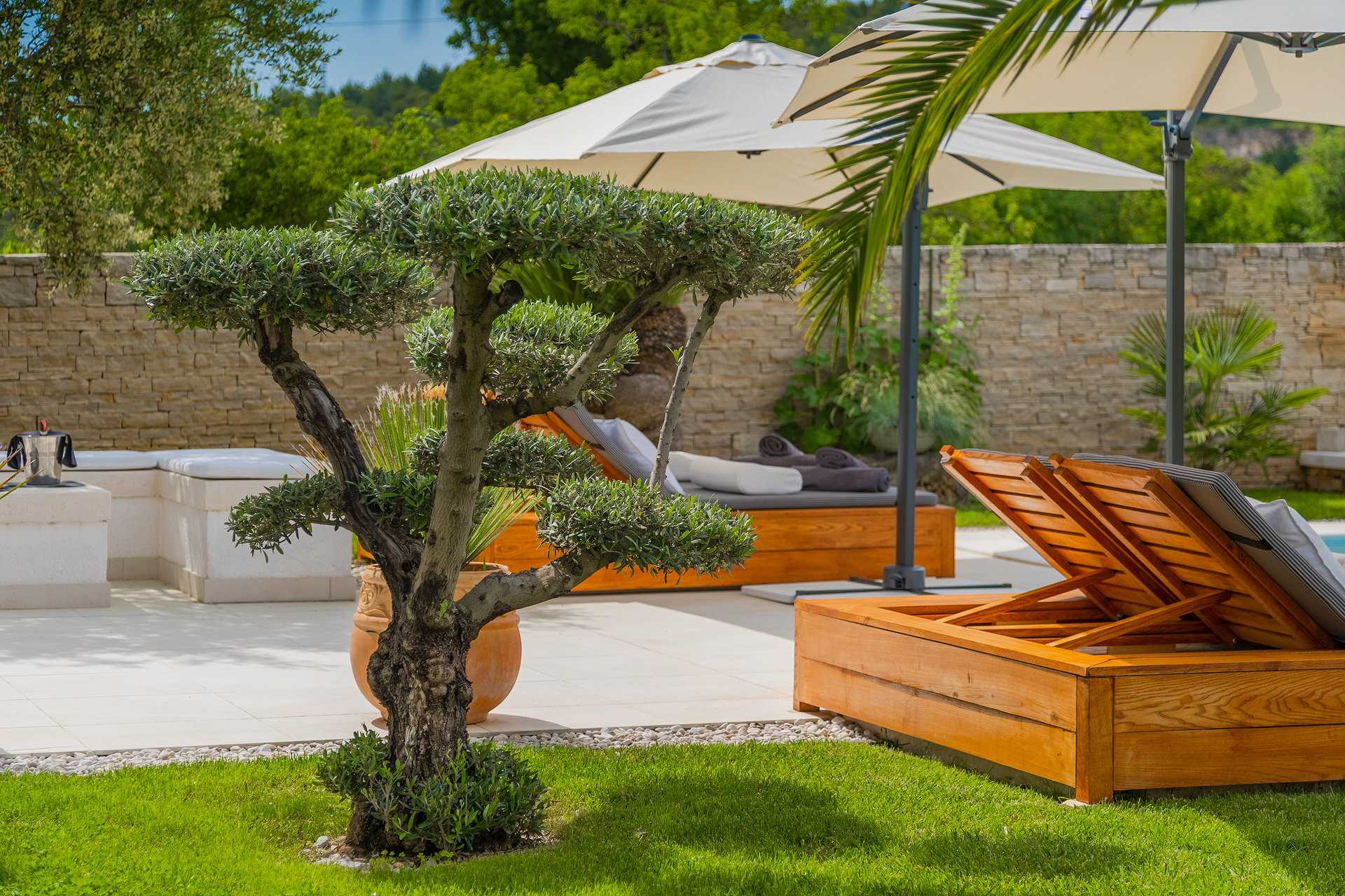 Villa Jardin Blanc with Pool