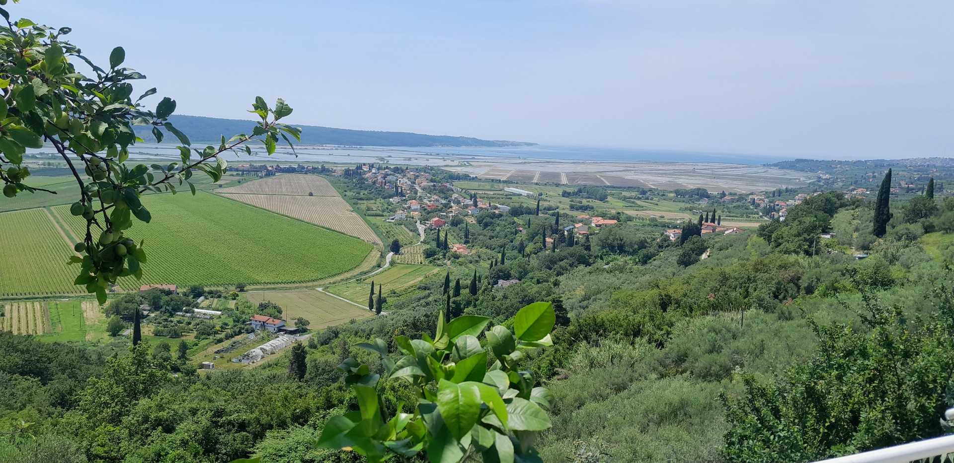 Studio Apartment Olive Oil Homestead Milok