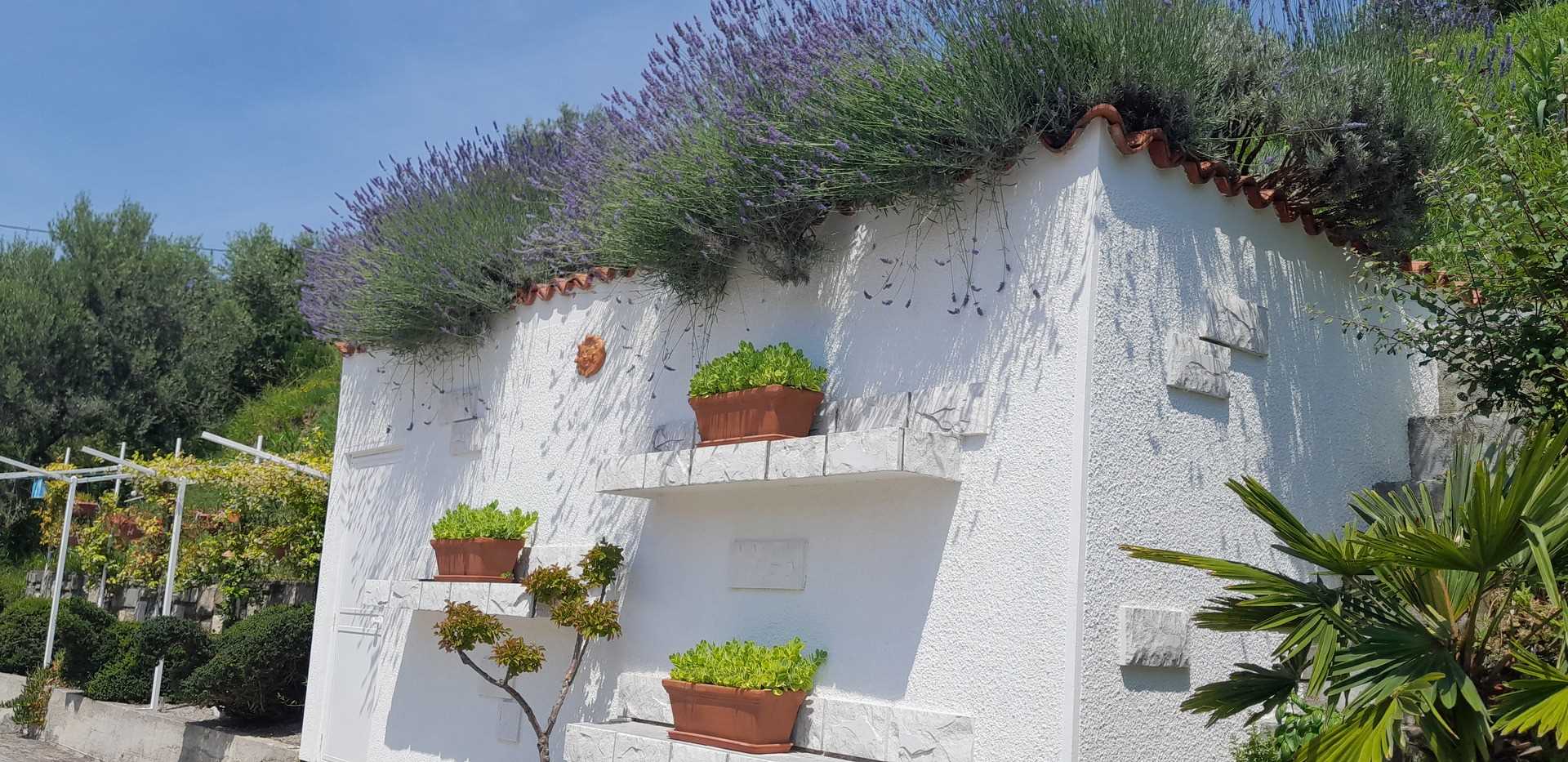 Studio Apartment Olive Oil Homestead Milok