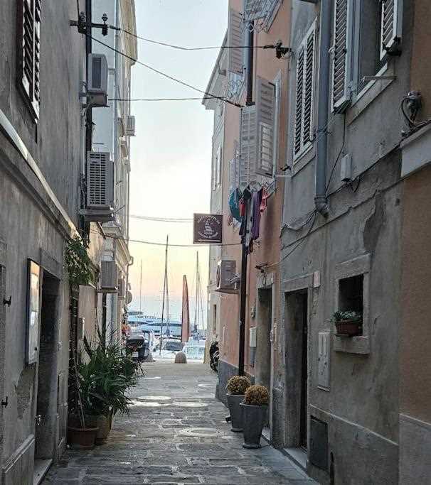 One Bedroom Apartment with rooftop terrace Altana