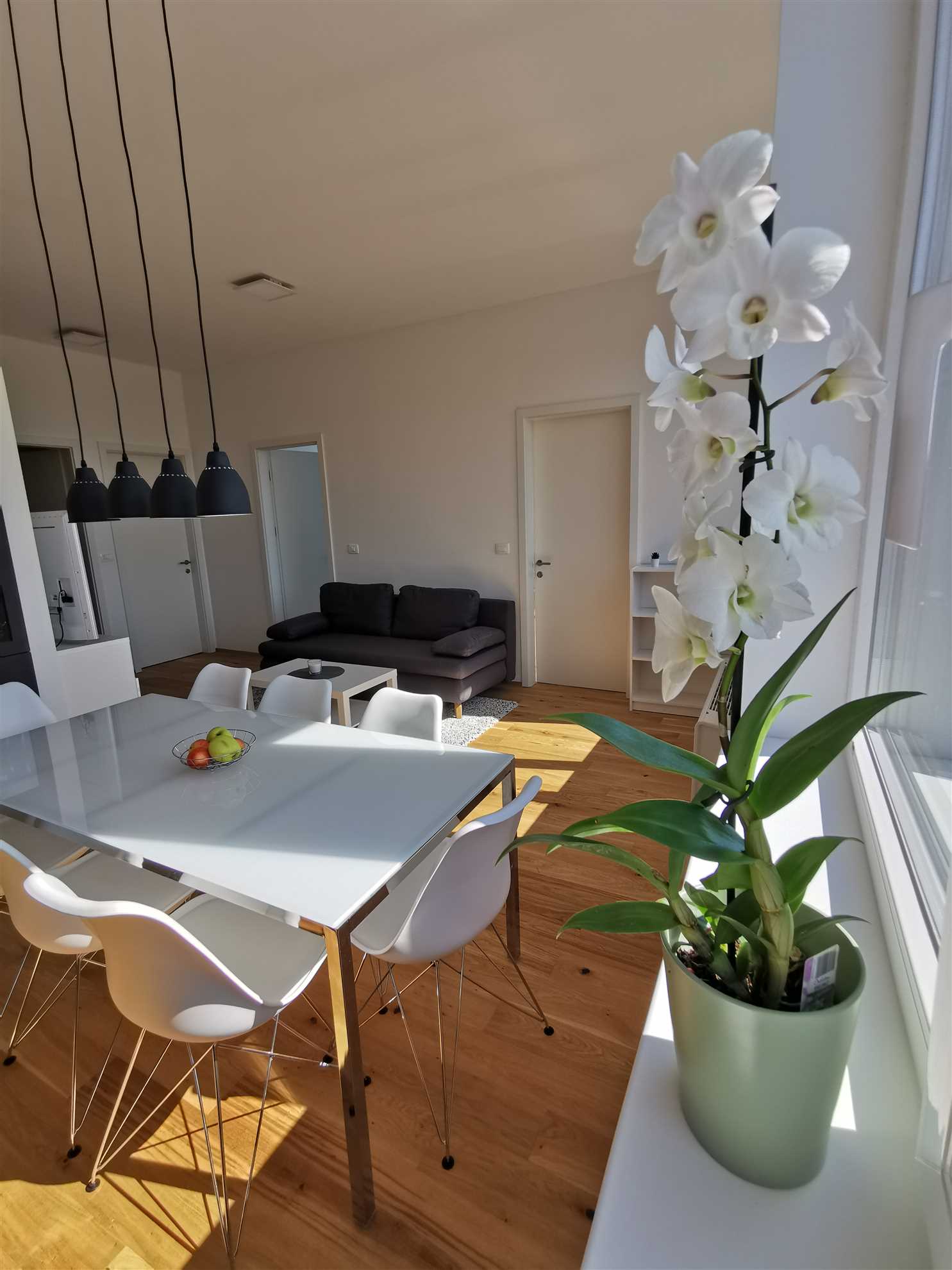 Three Bedroom Apartment Egis 3