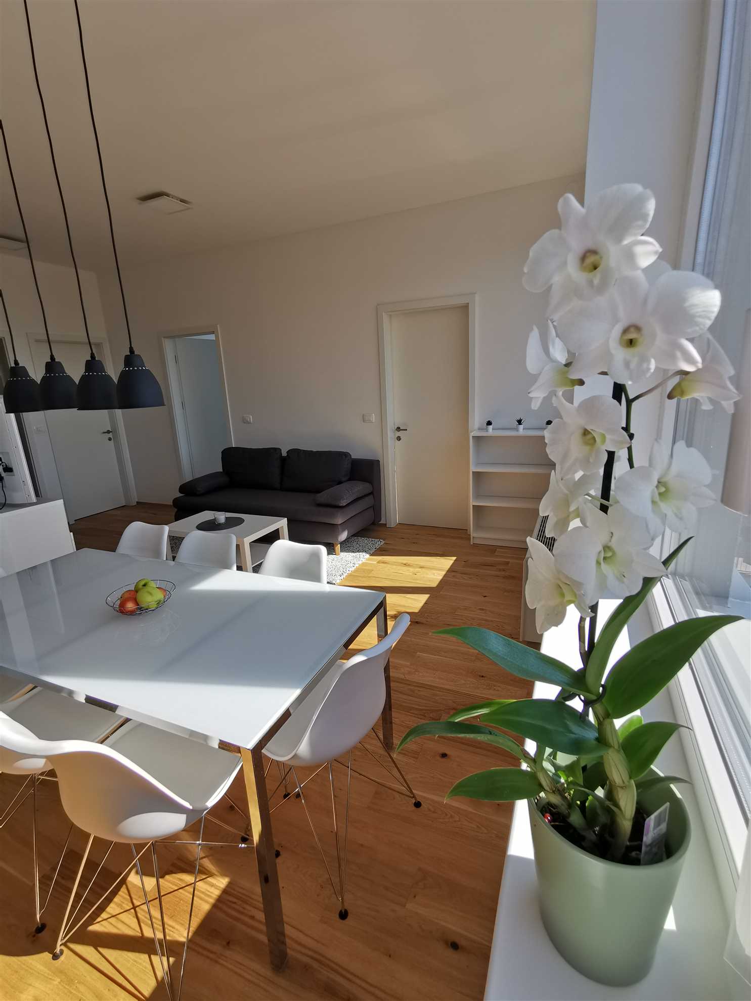 Three Bedroom Apartment Egis 3