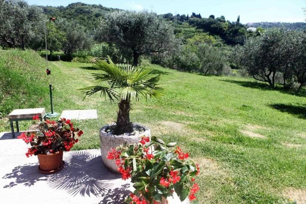 One Bedroom Apartment with terrace Nonna Laura