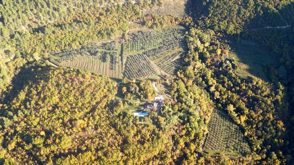 Villa in Grožnjan for up to 8 guests