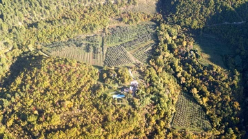 Villa in Grožnjan for up to 8 guests