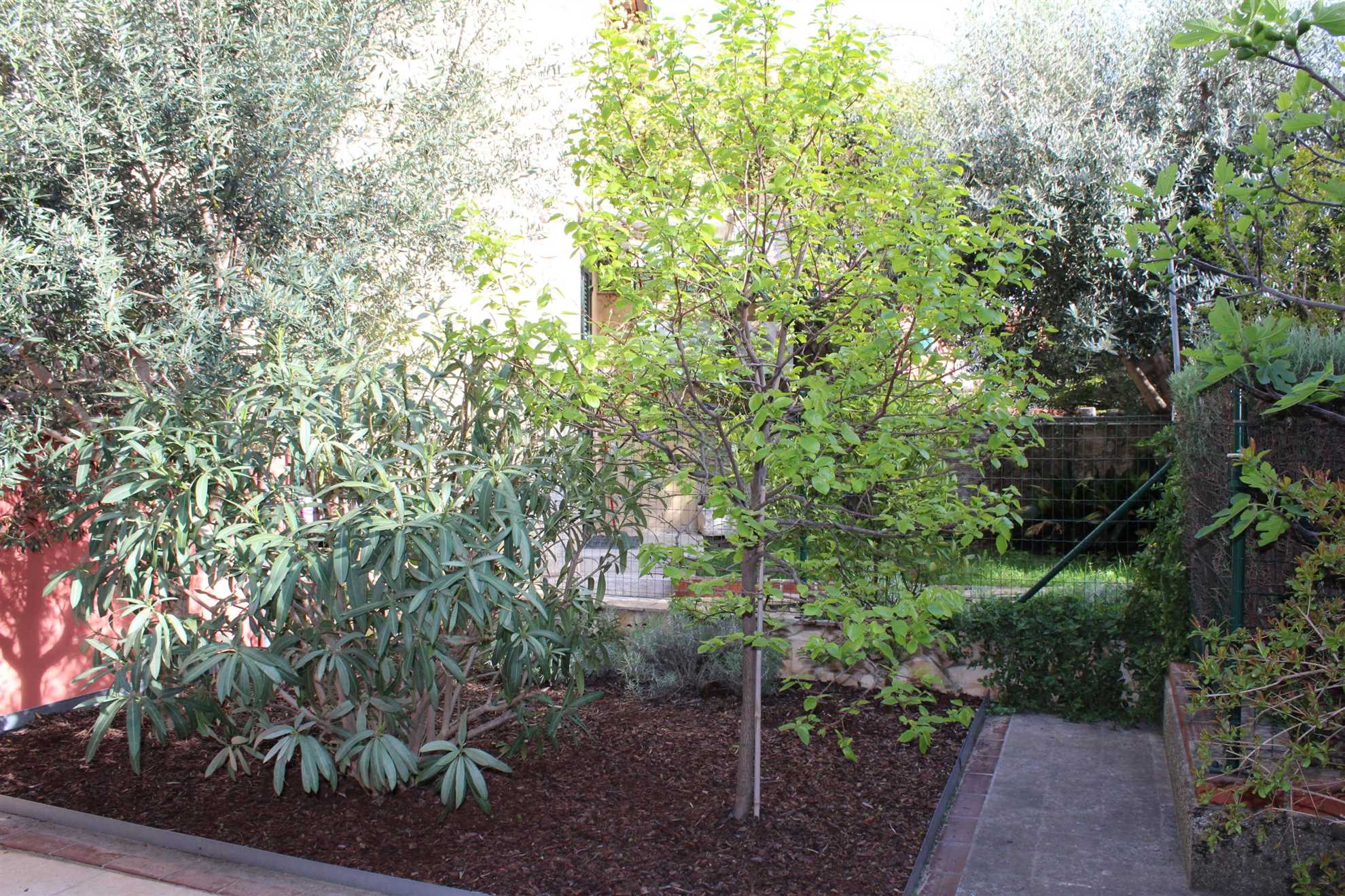 32. PICCOLO GIARDINO