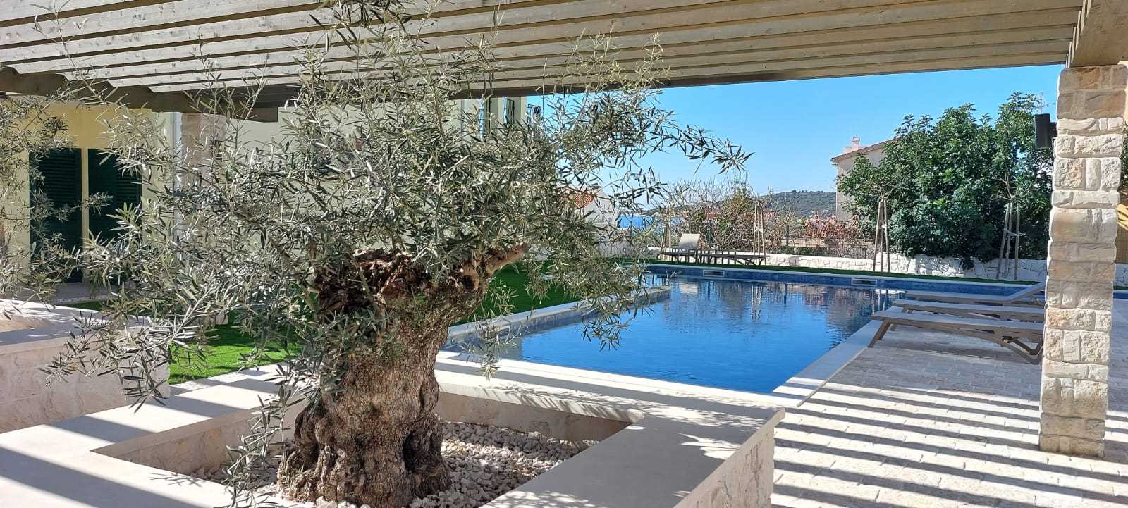 Luxury Apartment Aura