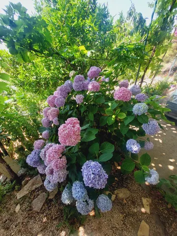 Primošten Studio Apartment for 2 with Parking