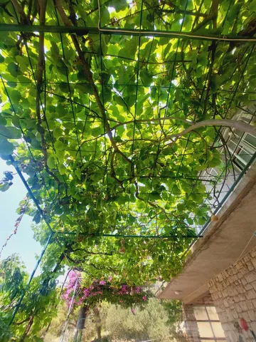 Primošten Studio Apartment for 2 with Parking