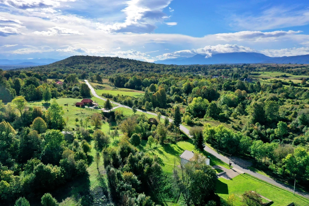 Villa with Private Hot Tub in Rakovica (Up to 13)