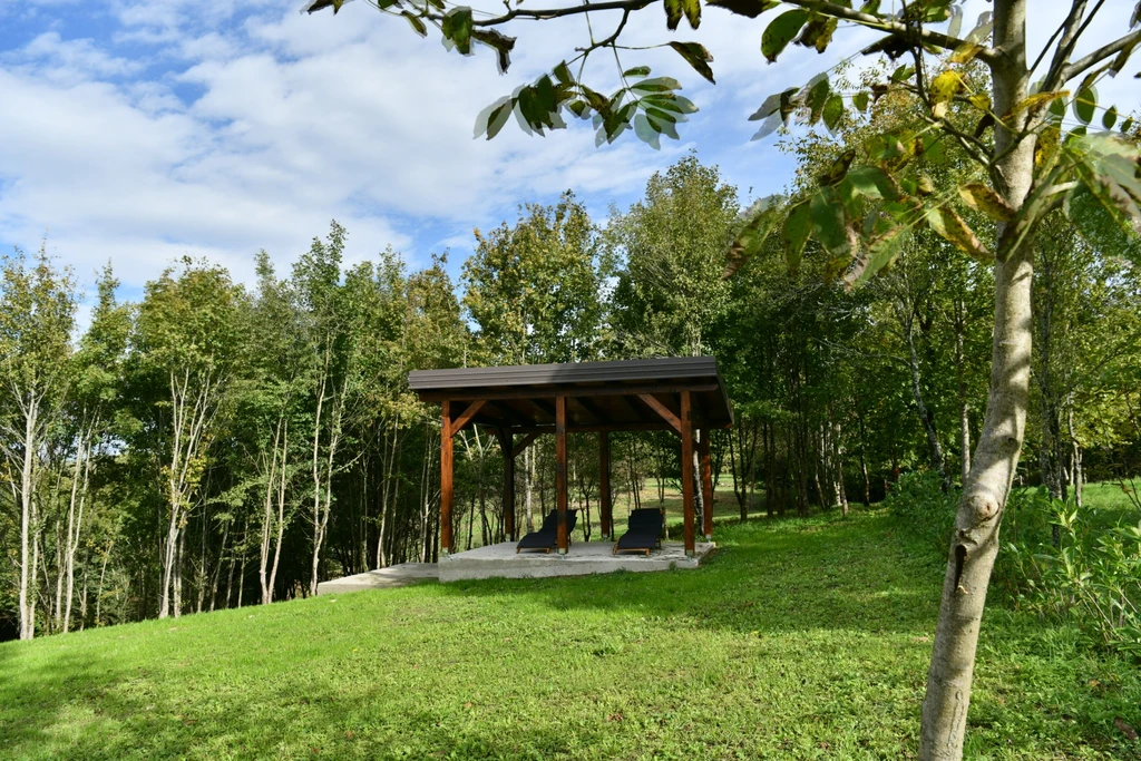 Villa with Private Hot Tub in Rakovica (Up to 13)