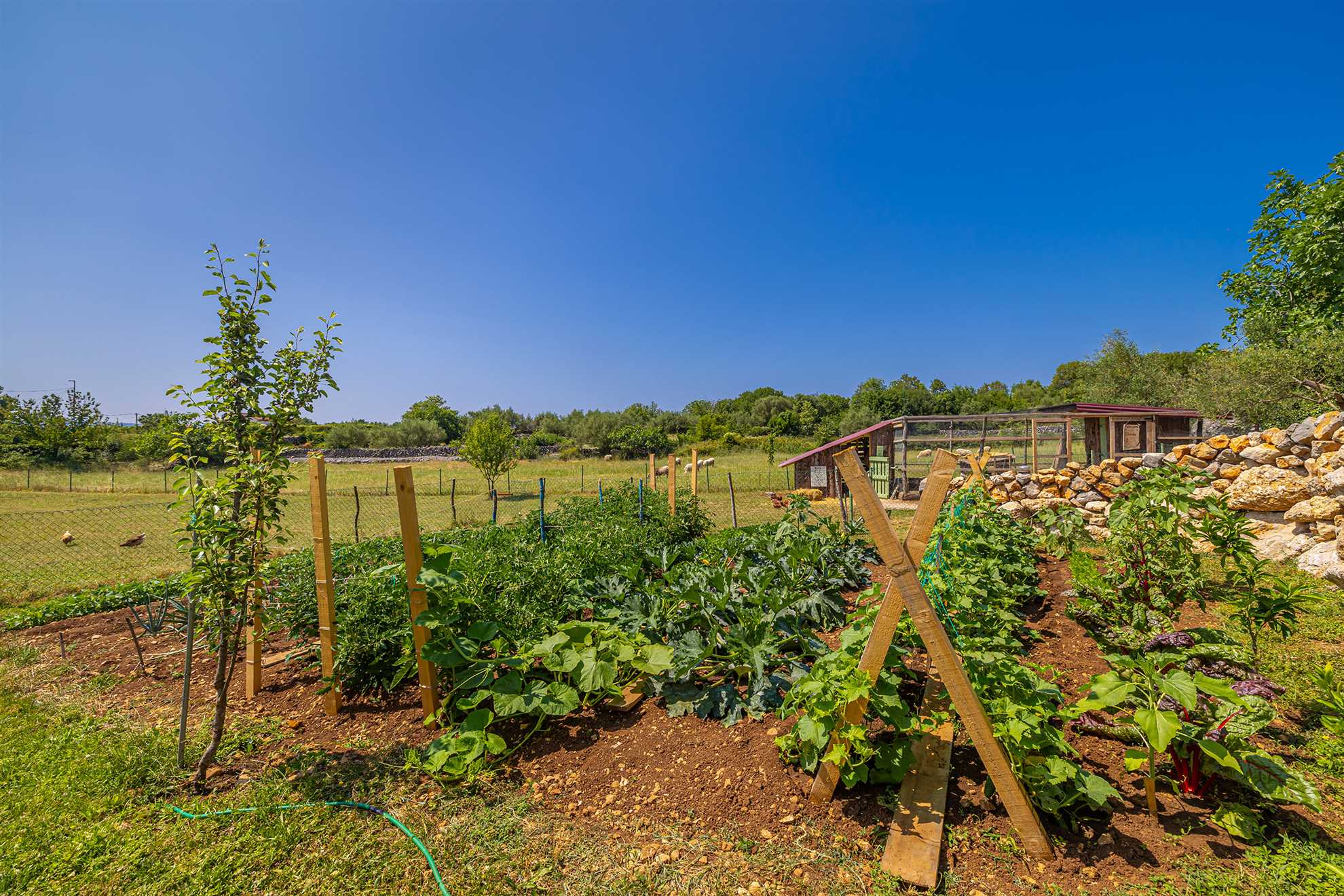 Ferienhaus FRANOLIC mit Swimmingpool