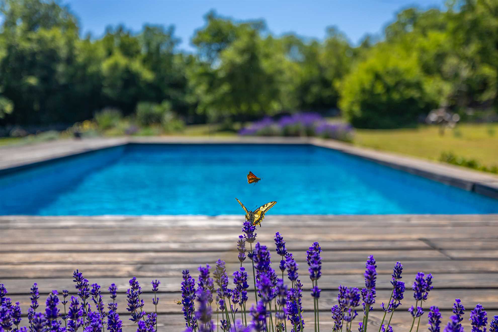 Kuća za odmor GARICA sa prostranom okućnicom